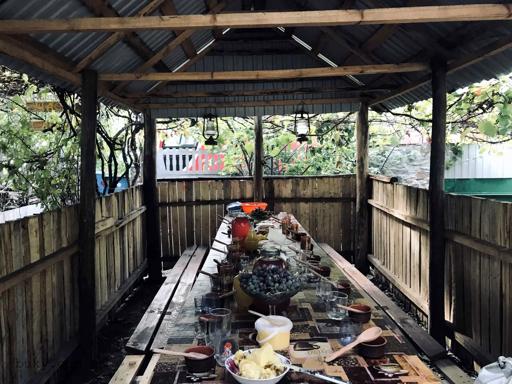 Дегустація меду на Буцькій пасіці