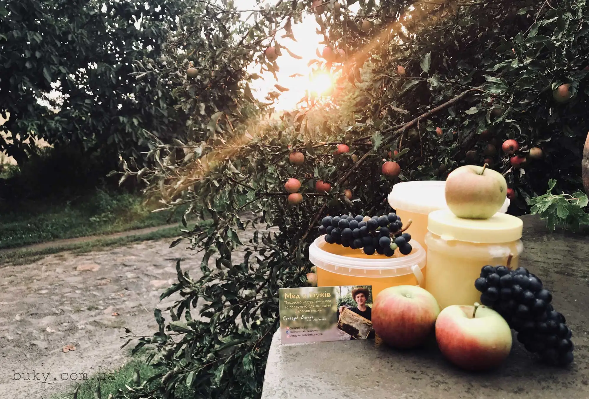 Мед з Буцької пасіки