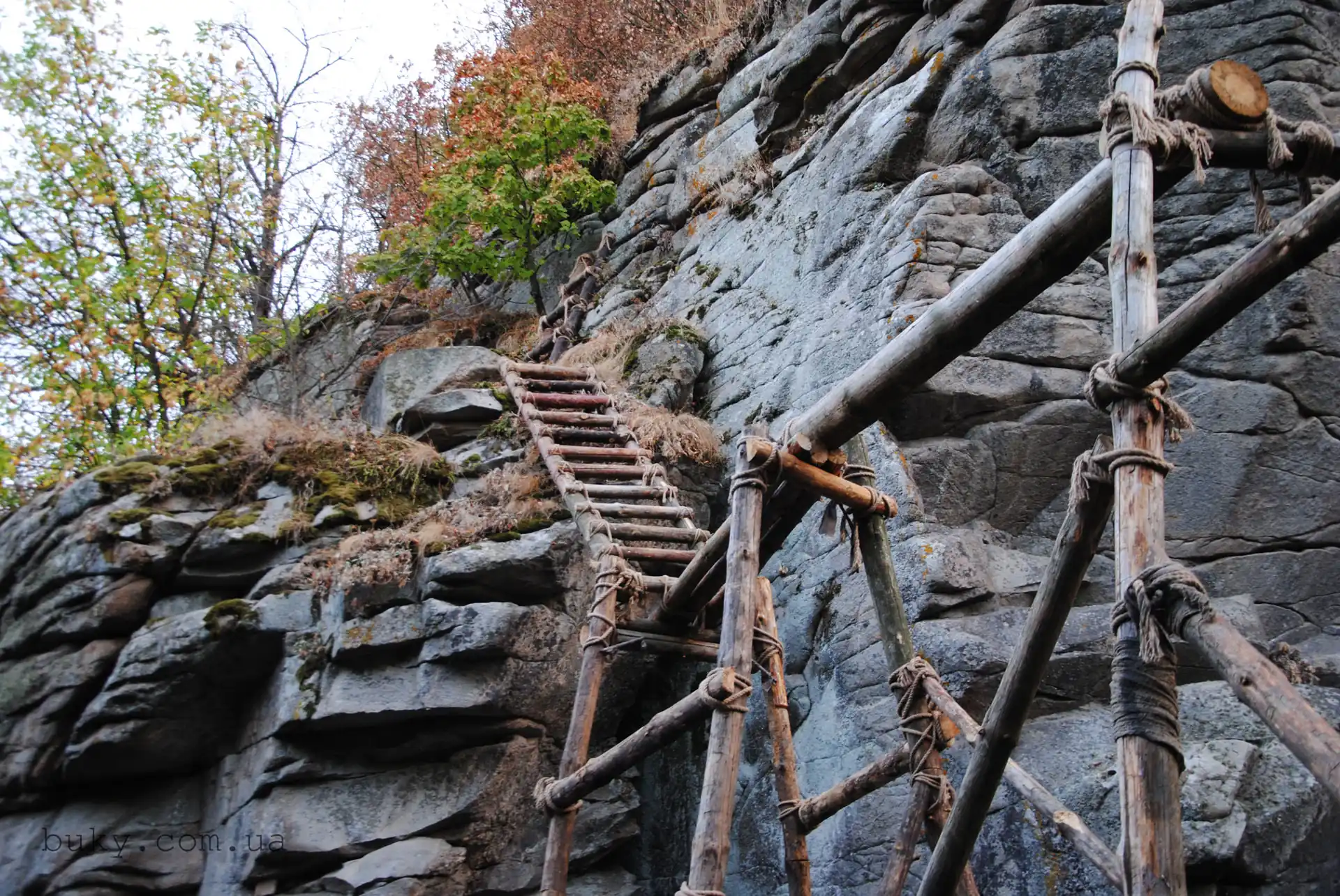 Драбина на скелі Буцького каньйону