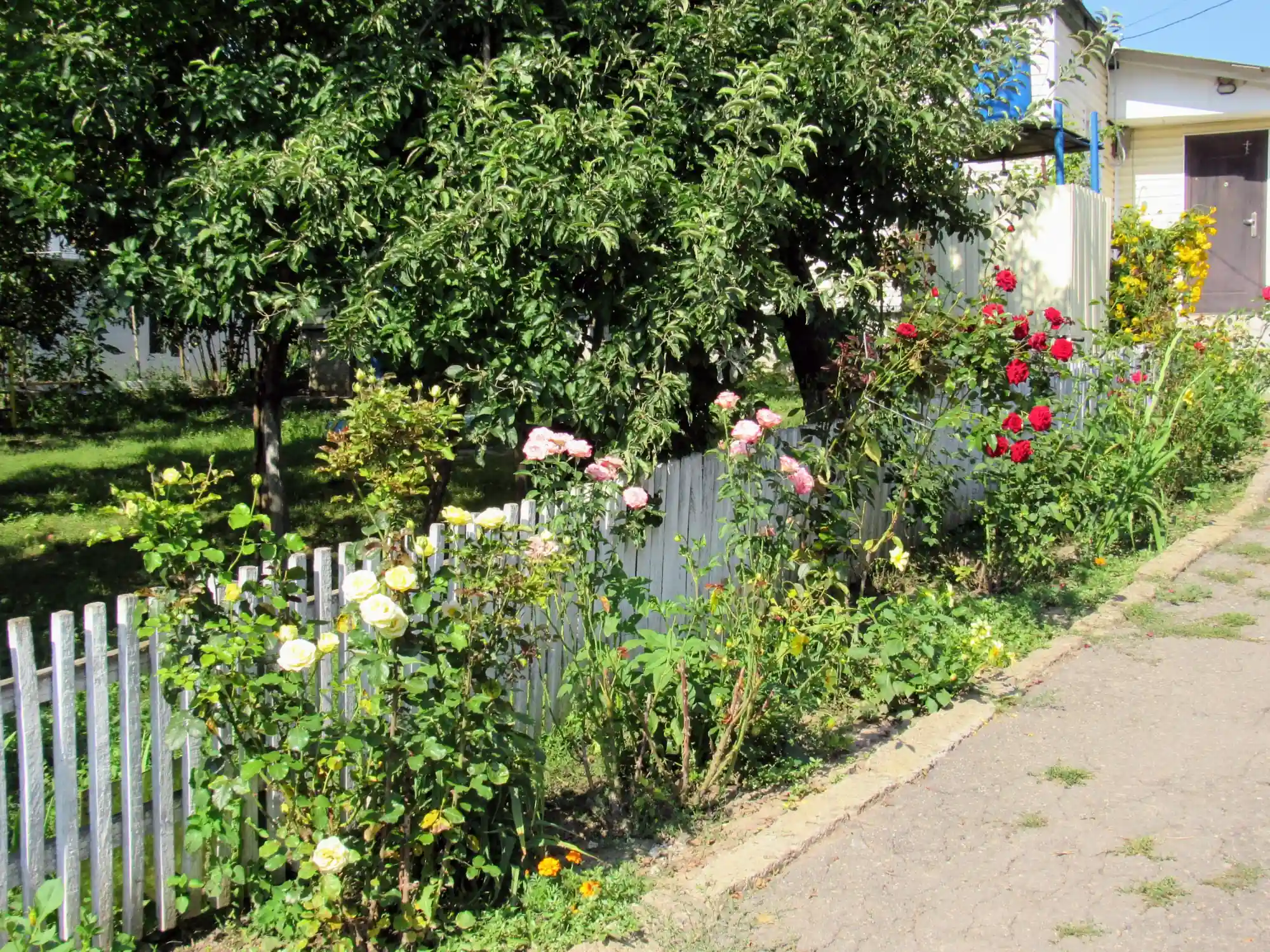 Оренда житла Буки Черкаська область - Буцький затишок