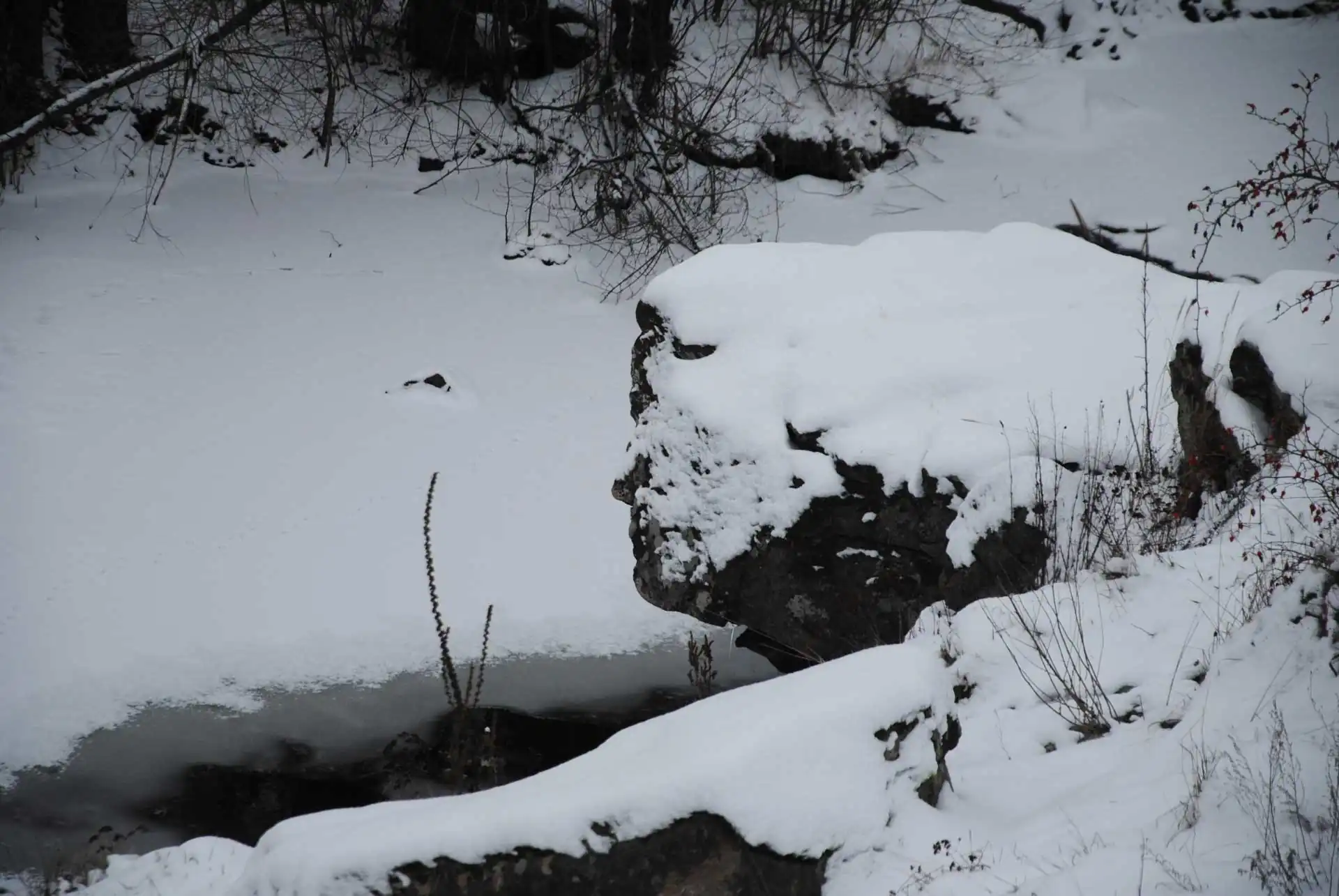Буцька скеля під снігом