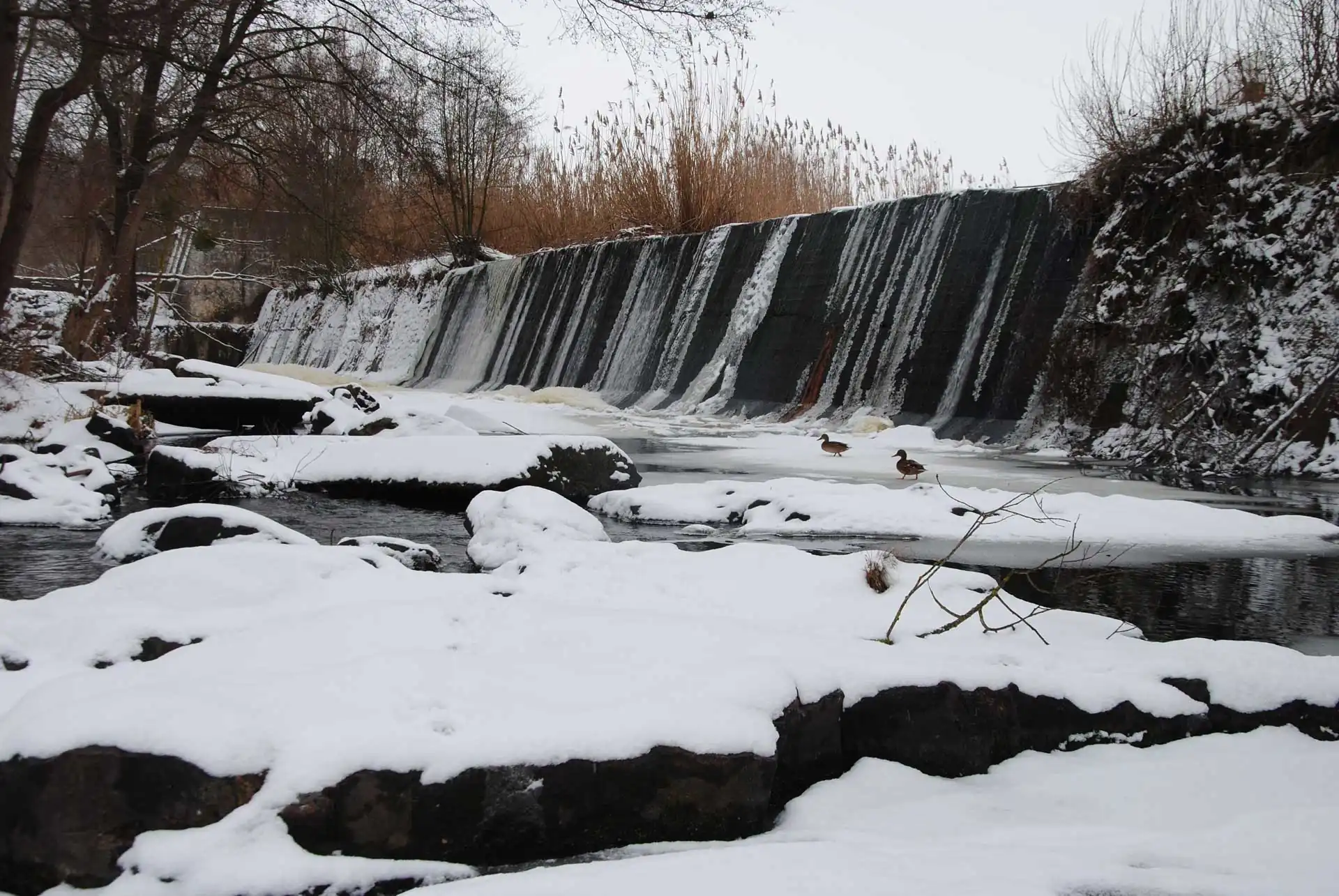 Гребля Буцької ГЕС взимку