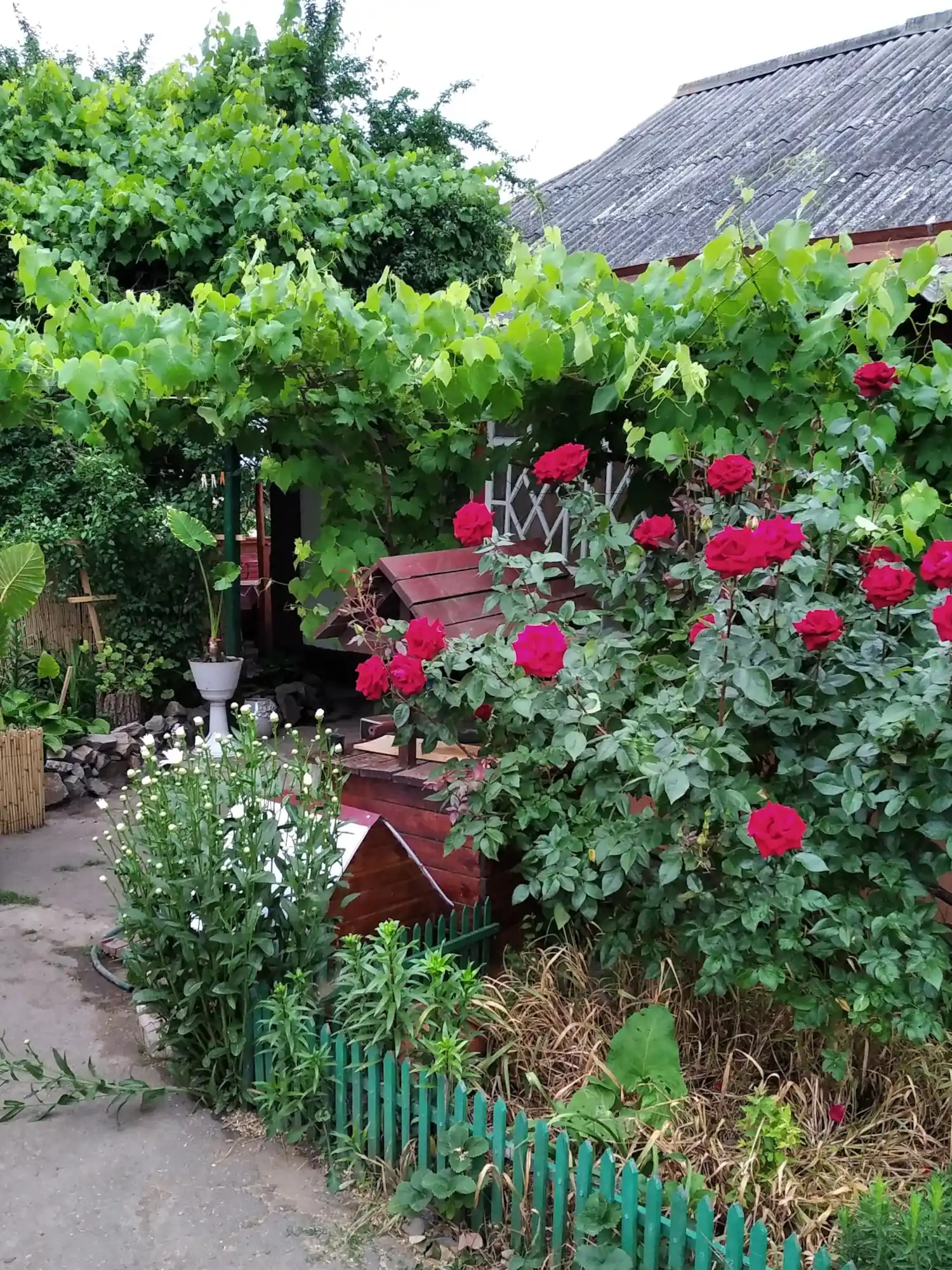 Житло Буцький каньйон - Гостинний дворик у Наталії